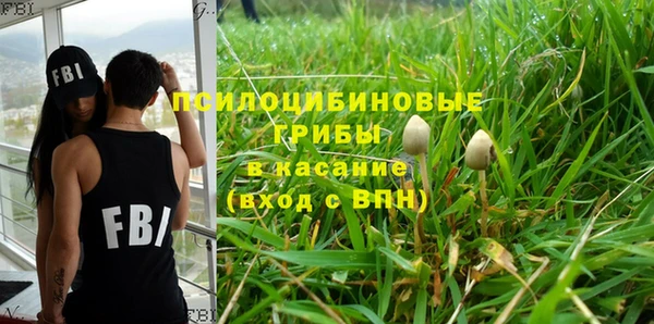 эйфоретик Алексин
