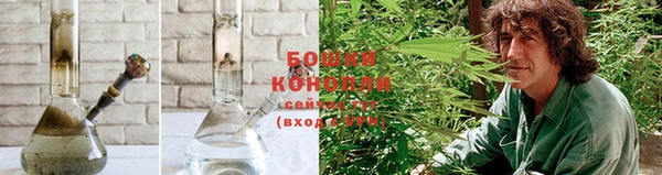 ГАЛЛЮЦИНОГЕННЫЕ ГРИБЫ Алексеевка