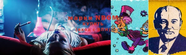 ГАЛЛЮЦИНОГЕННЫЕ ГРИБЫ Абаза