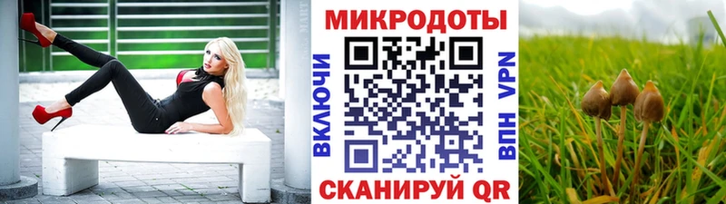 где найти Ирбит Псилоцибиновые грибы Psilocybe